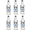6 mini botellas de 5 cl de Anís seco Ferri Cassalla